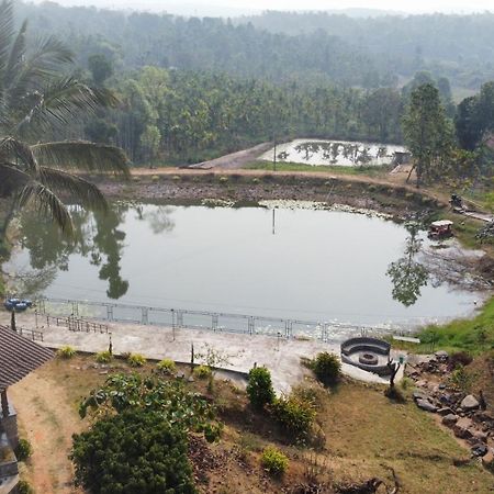 Willostays Villa Tranquil De Susanj Sakleshpur Exteriör bild